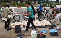 Sự thật chuyện "giải cứu trứng gà 65.000 đồng 30 quả'' tràn lan trên vỉa hè Hà Nội