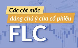 [Infographic] Nhìn lại lịch sử cổ phiếu FLC trước khi lên sàn UPCoM