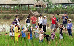 Vì sao du lịch nông nghiệp ở Hà Nội manh mún, nhỏ lẻ?