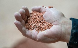 "Mỏ vàng" bị lãng quên được đào lại ngay giữa cơn sốt: Công ty khai khoáng hoàng đầu thế giới tiết lộ kế hoạch tung ra thị trường mặt hàng vô cùng có lãi