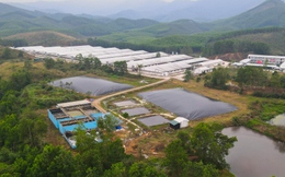 Cận cảnh Dự án chăn nuôi ở Sơn Động để vỡ đường ống nước thải gây ô nhiễm môi trường