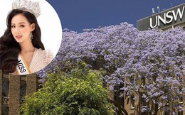 Ngôi trường Hoa hậu Bảo Ngọc vừa nhận học bổng 230 triệu: Xếp hạng hàng đầu nước Úc, khuôn viên thơ mộng và hiện đại bậc nhất