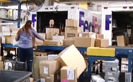 Hãng vận chuyển hàng đầu thế giới Fedex sa thải hơn 10% nhân viên