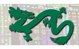 Quỹ lớn nhất do Dragon Capital quản lý nâng tỷ trọng cổ phiếu lên cao nhất trong 7 tháng