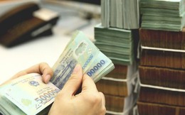 Lấy ý kiến nghị định gia hạn tiền thuế, tiền thuê đất 2023