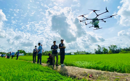 Chuyện về công ty Việt bí ẩn dùng máy bay không người lái phun thuốc trừ sâu cho đồng lúa, vườn sầu riêng, tiền công chỉ 8.000 - 10.000 đồng/lít