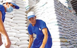 Giá gạo Việt tăng cao nhất trong vòng 2 năm
