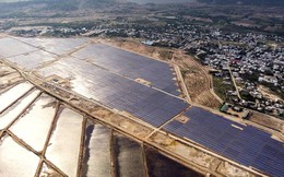 Bán dự án điện mặt trời Vĩnh Hảo 6 cho nước ngoài, Fecon từ lỗ sang có lãi hơn 49 tỷ đồng trong quý 4/2022