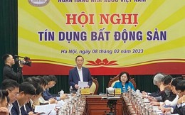 Gặp khó về tín dụng, các đại gia VinHomes, Novaland, Hưng Thịnh kiến nghị gì?