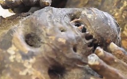 “Vén màn” bí ẩn xác ướp nàng tiên cá nổi tiếng ở Nhật Bản