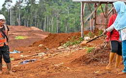 Cơ sốt khai thác niken để sản xuất pin xe điện bùng nổ: Người dân Indonesia cầm mã tấu giữ đất