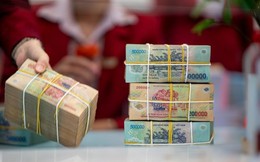 Lộ diện lĩnh vực có mức lương cao nhất Việt Nam, có vị trí lên tới 600 triệu đồng?