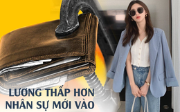 Làm việc 10 năm, tôi bàng hoàng phát hiện lương còn thấp hơn cả sinh viên mới ra trường?