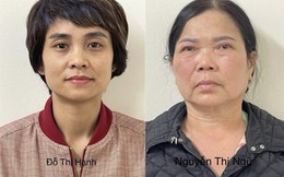 Khởi tố 4 bị can liên quan vụ án ‘thổi giá’ cây xanh ở Hà Nội