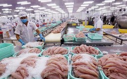 VASEP: Cá tôm Việt sang Mỹ và EU giảm mạnh, xuất khẩu thủy sản 2 tháng đầu năm chỉ bằng 3/4 cùng kỳ