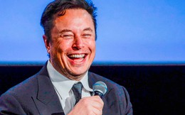 Elon Musk bí mật phát triển trí thông minh nhân tạo dù vừa kêu gọi thế giới tạm ngừng phát triển công nghệ này