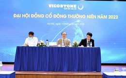 ĐHCĐ Vicostone (VCS): May mắn khi Lợi nhuận quý 1 chỉ giảm một nửa, nhận chuyển nhượng nhà máy nhựa Polyester không no