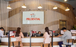 Prudential Việt Nam làm ăn ra sao?