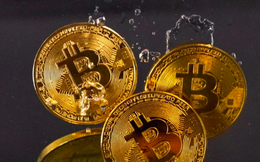 Bitcoin có thể chạm mức 100.000 USD vào cuối năm sau