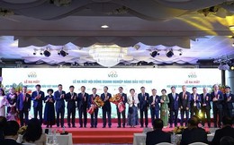 Bộ ba Chủ tịch FPT – THACO – VCCI dẫn dắt nhóm doanh nghiệp "sếu đầu đàn" của Việt Nam