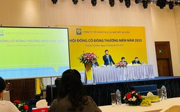 ĐHCĐ SAGS: Kế hoạch lợi nhuận tăng lên 205 tỷ đồng, đã được chọn là 1 trong 3 bên đấu thầu dịch vụ mặt đất tại Sân bay Long Thành