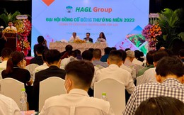 Bầu Đức: Biến động nhân sự HAGL rất lớn, tôi đã suy nghĩ và quyết định thưởng 20 triệu cp ESOP cho những nhân viên trồng chuối bên Lào, Campuchia