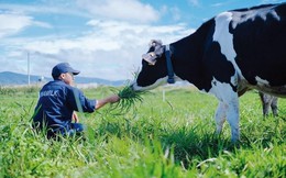 Vinamilk đặt mục tiêu lợi nhuận 8.622 tỷ đồng, tăng trở lại sau 2 năm sụt giảm