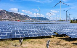 Điện mặt trời Trung Nam lãi 251 tỷ đồng năm 2022, cứ 5 đồng vốn chủ đem về 1 đồng lợi nhuận