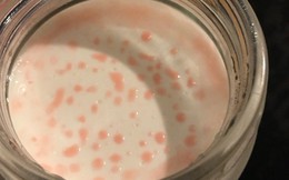 Từ vụ lô sữa đậu nành bị thu hồi do nhiễm Coliform, nhiều người chẳng ngờ loại vi khuẩn này có thể ẩn náu ngay xung quanh mình