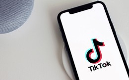 Là tay chơi mới được 1 năm, vì đâu TikTok Shop đang khiến các anh lớn TMĐT 'xanh mặt' - doanh thu một tháng bằng 80% Lazada, gấp 4 lần Tiki