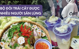 Cơn sốt trà mãng cầu và gỏi măng cụt đang càn quét khắp mọi nơi, đến nỗi đi chợ không còn trái chín mà mua