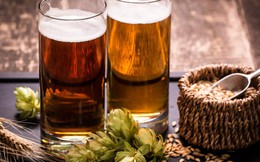 Những ngụm bia "đắng" của Sabeco, Habeco: Siết chặt thổi nồng độ cồn, giá nguyên liệu tăng, thêm đại gia ngoại nhăm nhe chia lại thị trường