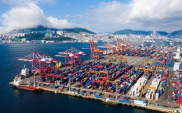 Lộ diện 'ngôi sao' của Việt Nam có quy mô 42 tỷ USD/năm