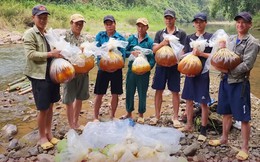 Cũng bán mật ong, nhóm người này chọn cách băng rừng, vượt thác lên thượng nguồn sông Đà để lấy được vài lít mật ong quý giá