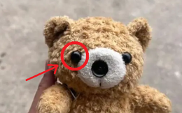Mua gấu bông cũ về nhà, 3 tháng sau cô gái phát hiện thứ đáng sợ bên trong con gấu