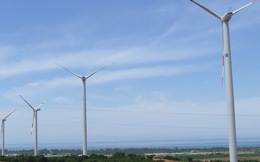 Yêu cầu EVN đàm phán giá với chủ đầu tư điện gió, điện mặt trời