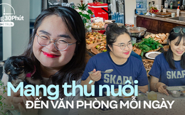 “Đột nhập” công ty cho mang theo thú cưng đi làm, giờ nghỉ trưa được xem phim