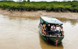 Tạm dừng tham quan Vườn Quốc gia Xuân Thủy sau vụ phụ huynh và học sinh tử vong