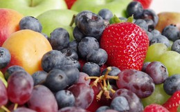 Nghiên cứu Harvard: Cách ăn trái cây giúp trường sinh bất lão