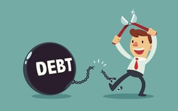 Tập đoàn Nam Cường báo lãi 1.168 tỷ đồng, giảm 29% so với năm 2021, mạnh tay trả 1.580 tỷ vay nợ đưa tỷ lệ nợ về con số "mơ ước"