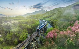 Đường sắt Thống Nhất của Việt Nam đứng đầu trong các hành trình xe lửa tuyệt vời nhất thế giới, tỷ lệ khởi hành đúng giờ "ăn đứt" các hãng hàng không