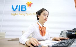 Một công ty con của VIB thu 10 đồng lãi tới 7, được ngân hàng dồn dập tăng vốn gấp 8 lần chỉ trong nửa năm