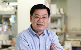 Giáo sư Nguyễn Văn Tuấn: Đưa môn Văn vào xét tuyển ngành y, chẳng có gì phải băn khoăn