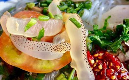 Loài vật biển mà ở phương Tây hiếm ai ăn nhưng lại cực phổ biến tại Trung Quốc: Tới Việt Nam còn biến thành đặc sản ngon khó cưỡng