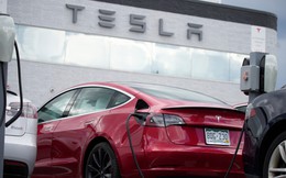Sau nhiều lần giảm giá chấn động, Tesla bất ngờ 'quay đầu' tăng giá nhưng mục đích tăng mới cho thấy khả năng tính toán thần sầu của tỷ phú Elon Musk