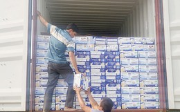 Bắt giám đốc công ty nhập lậu sữa từ Mỹ về Việt Nam