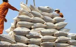 Hạt gạo Việt bội thu: Xuất khẩu 4 tháng đầu năm vượt 1,5 tỷ USD, tăng gấp rưỡi cùng kỳ 2022, mạnh nhất trong các nông sản chủ lực