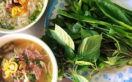 Top 10 món ăn đường phố Việt Nam: Hành trình khám phá hương vị và kết cấu ẩm thực