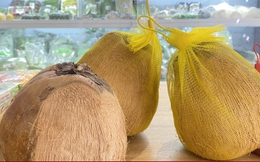 Hơn 200.000 đồng/quả dừa độc lạ, khách vẫn nườm nượp mua