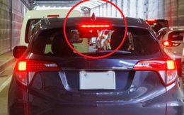 Vì sao ô tô phải có đèn báo phanh trung tâm?